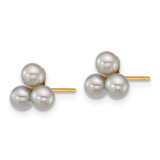 14k Polished 3-4mm Button Grey Freshwater Cultured 3-Pearl Post Earrings