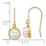 14k Polished 6-7mm Button White Freshwater Cultured Pearl Dangle Shepherd Hook Earrings