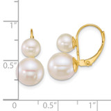 14k Polished 6-9mm Round White Freshwater Cultured 2-Pearl Leverback Earrings