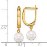 14k Polished 7-8mm Round White Freshwater Cultured Pearl Dangle Hoop Earrings