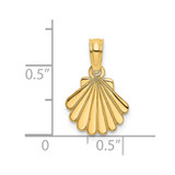 14K Polished and Engraved Shell Charm