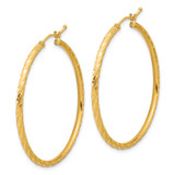 14k Polished and Satin D/C 2.00mm Hoop Earrings - TC-13BE3181-5505