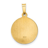 14k Polished and Satin Sacred Heart of Mary Medal Hollow Pendant - XR-E6C6133E-6507