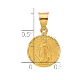 14k Polished and Satin Solid Miraculous Mary Plain Back Medal - XR-573F4084-4918