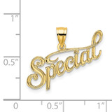 14K Polished and Textured SPECIAL Charm - D3-1442396E-5849