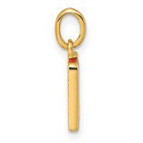 14K Polished Enameled Test Tubes Pendant