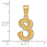 14k Polished Etched Number 3 Pendant