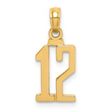 14k Polished Number 12 Pendant