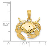 14k Polished Open-Backed Crab Pendant