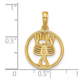 14K Polished Round Scorpio Pendant