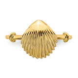 14K Polished Shell Ring