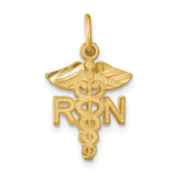 14k RN Nurse Charm - C4-C8C12E17-9650