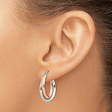 14k Rose and White Gold Polished Oval Tube Hoop Earrings