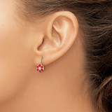 14k Ruby and Diamond Earrings - EM-7DFDF996-2586