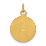 14k Saint Patrick Medal Charm - XR-555F8D0C-8442
