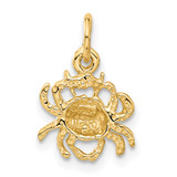 14k Satin Diamond-cut Cancer Zodiac Charm - C4-A8CB1871-3975