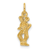 14k Satin Diamond-cut Gemini Zodiac Charm - C4-922DC0BD-7272