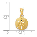 14k Satin Diamond-cut Sand Dollar Pendant - K6-0A3638CE-8991