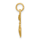 14k Satin Tom Cat Charm