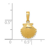 14k Scallop Shell Pendant - K2-52E4A648-7940