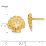 14K Scallop Shell Post Earrings - K4-3C84E794-6531