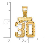 14k Small Brushed Diamond-cut Number 30 Charm
