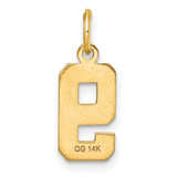 14k Small Brushed Diamond-cut Number 9 Charm