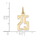 14k Small Elongated Number 25 Charm