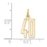 14k Small Elongated Number 40 Charm