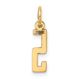 14k Small Elongated Number 5 Charm