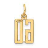14k Small Elongated Number 60 Charm