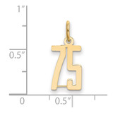 14k Small Elongated Number 75 Charm
