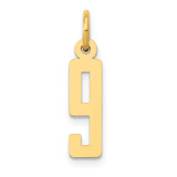 14k Small Elongated Number 9 Charm
