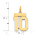 14k Small Polished Number 10 Charm - LS-ADF6B4AB-5997