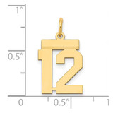 14k Small Polished Number 12 Charm - LS-2790FC5A-3829