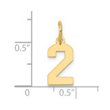 14k Small Polished Number 2 Charm - LS-9BC966E9-3503