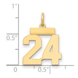 14k Small Polished Number 24 Charm - LS-A8EBABA9-4498