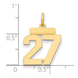 14k Small Polished Number 27 Charm - LS-A590F207-8965