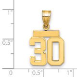 14k Small Polished Number 30 Charm