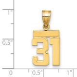 14k Small Polished Number 31 Charm