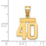 14k Small Polished Number 40 Charm