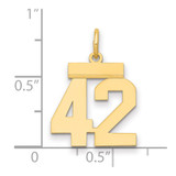 14k Small Polished Number 42 Charm - LS-48142A08-7417