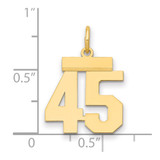 14k Small Polished Number 45 Charm