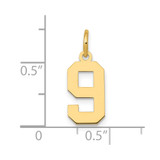 14k Small Polished Number 9 Charm - LS-E96B0B79-5328