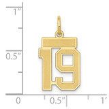 14k Small Satin Number 19 Charm