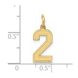 14k Small Satin Number 2 Charm