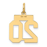 14k Small Satin Number 20 Charm