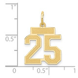 14k Small Satin Number 25 Charm