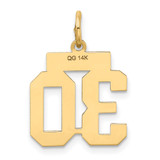 14k Small Satin Number 30 Charm