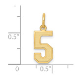 14k Small Satin Number 5 Charm